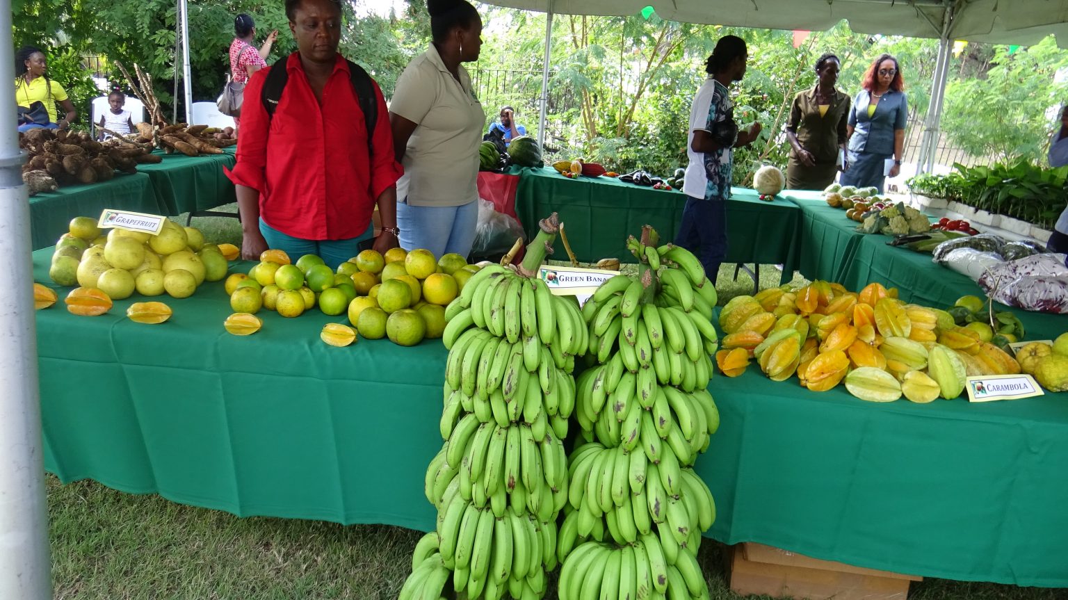 Services - Grenada Food and Nutrition Council